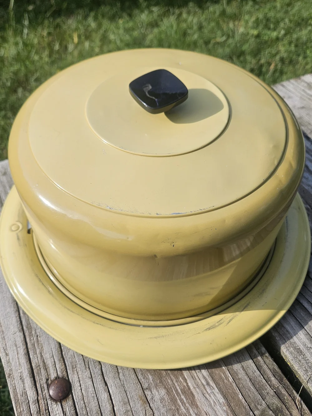Yellow Cake Keeper with Decorative Emblem
